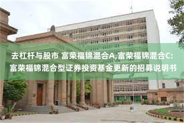 去杠杆与股市 富荣福锦混合A,富荣福锦混合C: 富荣福锦混合型证券投资基金更新的招募说明书
