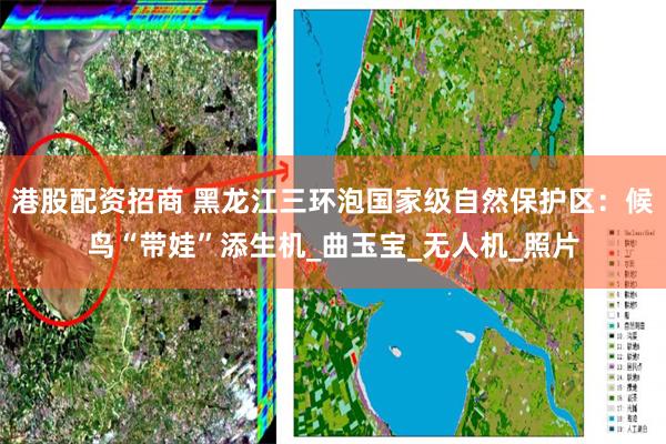 港股配资招商 黑龙江三环泡国家级自然保护区：候鸟“带娃”添生机_曲玉宝_无人机_照片