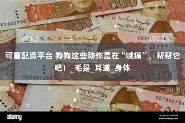 可靠配资平台 狗狗这些动作是在“喊痛”，帮帮它吧！_毛是_耳道_身体