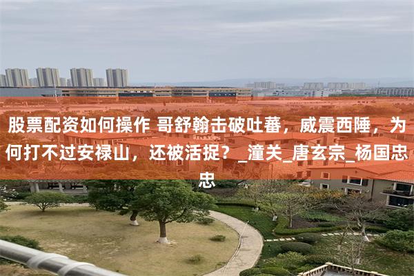 股票配资如何操作 哥舒翰击破吐蕃，威震西陲，为何打不过安禄山，还被活捉？_潼关_唐玄宗_杨国忠