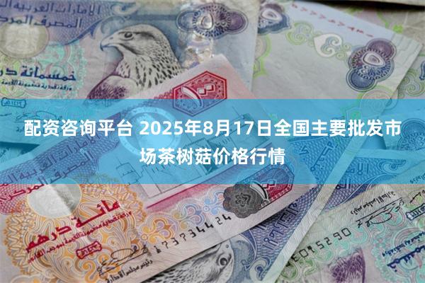 配资咨询平台 2025年8月17日全国主要批发市场茶树菇价格行情