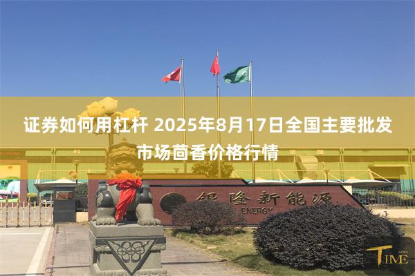 证券如何用杠杆 2025年8月17日全国主要批发市场茴香价格行情