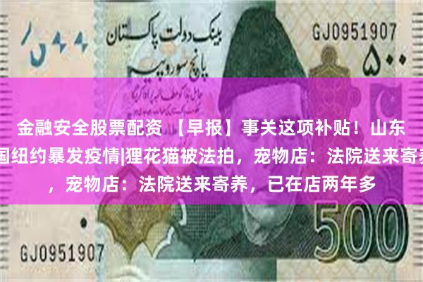 金融安全股票配资 【早报】事关这项补贴！山东公布咨询电话|美国纽约暴发疫情|狸花猫被法拍，宠物店：法院送来寄养，已在店两年多